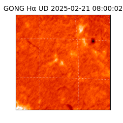 gong - 2025-02-21T08:00:02