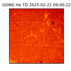 gong - 2025-02-21T09:00:22