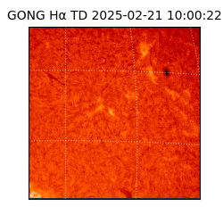 gong - 2025-02-21T10:00:22