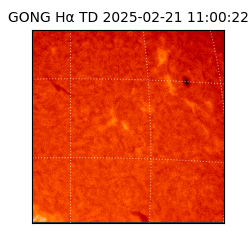 gong - 2025-02-21T11:00:22