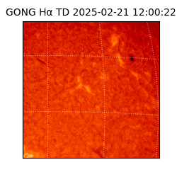 gong - 2025-02-21T12:00:22