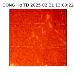 gong - 2025-02-21T13:00:22