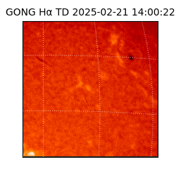 gong - 2025-02-21T14:00:22