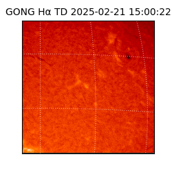 gong - 2025-02-21T15:00:22
