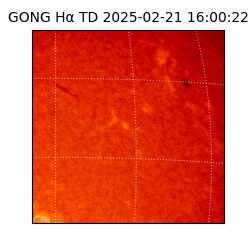 gong - 2025-02-21T16:00:22
