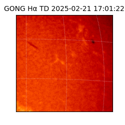 gong - 2025-02-21T17:01:22