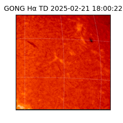 gong - 2025-02-21T18:00:22