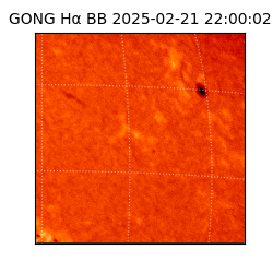 gong - 2025-02-21T22:00:02