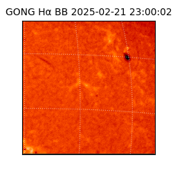 gong - 2025-02-21T23:00:02