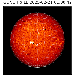 gong - 2025-02-21T01:00:42
