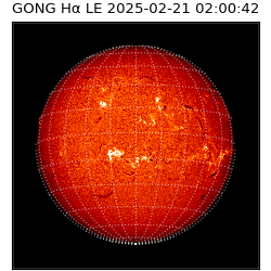gong - 2025-02-21T02:00:42