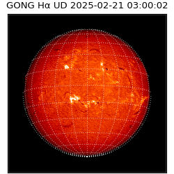 gong - 2025-02-21T03:00:02