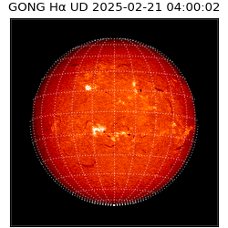 gong - 2025-02-21T04:00:02