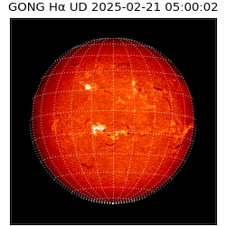 gong - 2025-02-21T05:00:02