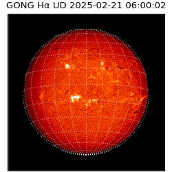gong - 2025-02-21T06:00:02