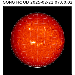 gong - 2025-02-21T07:00:02