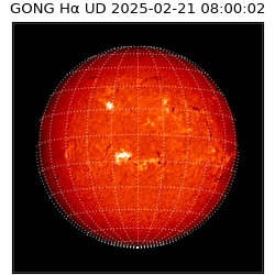 gong - 2025-02-21T08:00:02