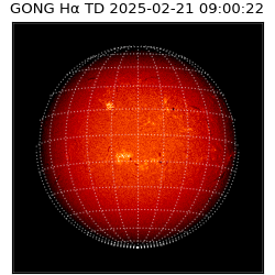 gong - 2025-02-21T09:00:22