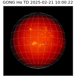 gong - 2025-02-21T10:00:22