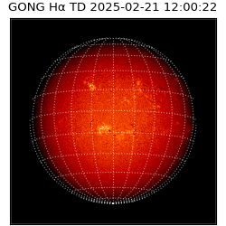 gong - 2025-02-21T12:00:22
