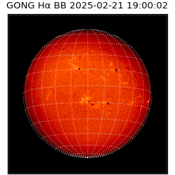 gong - 2025-02-21T19:00:02