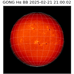 gong - 2025-02-21T21:00:02
