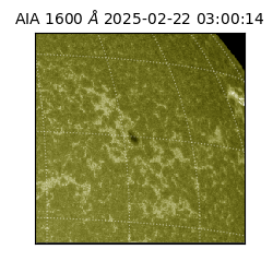 saia - 2025-02-22T03:00:14.130000