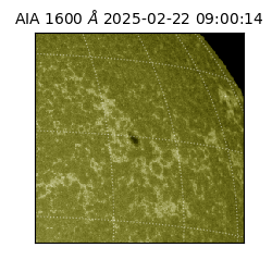 saia - 2025-02-22T09:00:14.132000