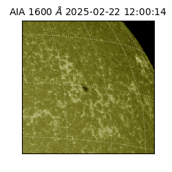 saia - 2025-02-22T12:00:14.126000