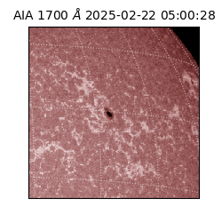 saia - 2025-02-22T05:00:28.717000