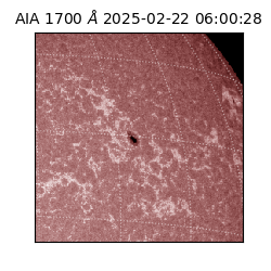 saia - 2025-02-22T06:00:28.721000