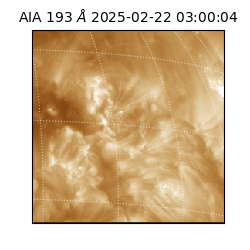 saia - 2025-02-22T03:00:04.843000