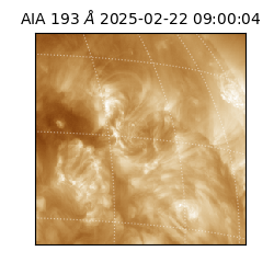 saia - 2025-02-22T09:00:04.843000