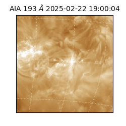saia - 2025-02-22T19:00:04.843000