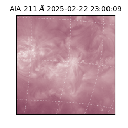 saia - 2025-02-22T23:00:09.618000