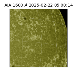 saia - 2025-02-22T05:00:14.125000