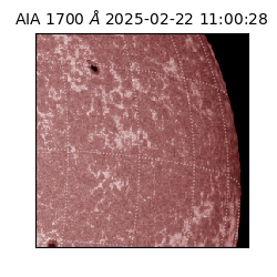 saia - 2025-02-22T11:00:28.712000