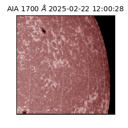 saia - 2025-02-22T12:00:28.741000