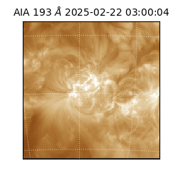 saia - 2025-02-22T03:00:04.843000