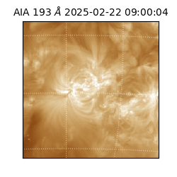 saia - 2025-02-22T09:00:04.843000