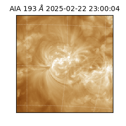 saia - 2025-02-22T23:00:04.835000