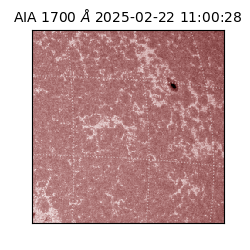 saia - 2025-02-22T11:00:28.712000