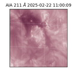 saia - 2025-02-22T11:00:09.630000