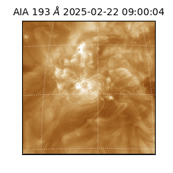saia - 2025-02-22T09:00:04.843000
