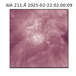 saia - 2025-02-22T02:00:09.625000