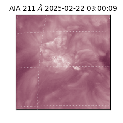 saia - 2025-02-22T03:00:09.626000