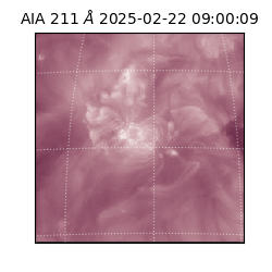 saia - 2025-02-22T09:00:09.626000