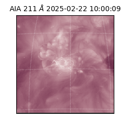 saia - 2025-02-22T10:00:09.626000