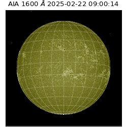 saia - 2025-02-22T09:00:14.132000
