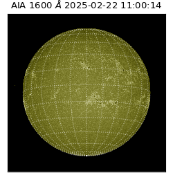 saia - 2025-02-22T11:00:14.126000